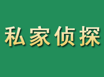 宁南市私家正规侦探